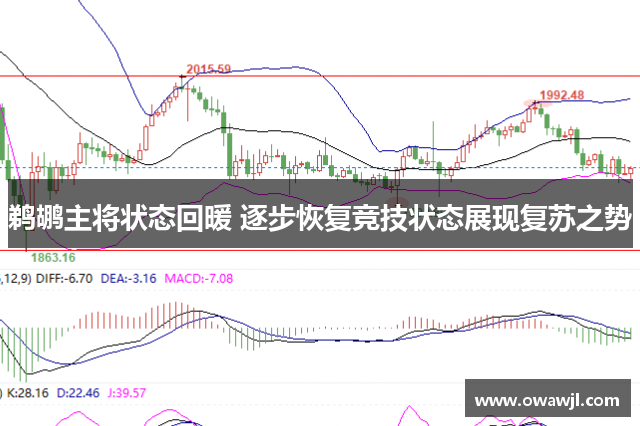 鹈鹕主将状态回暖 逐步恢复竞技状态展现复苏之势