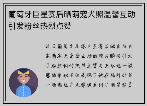 葡萄牙巨星赛后晒萌宠犬照温馨互动引发粉丝热烈点赞